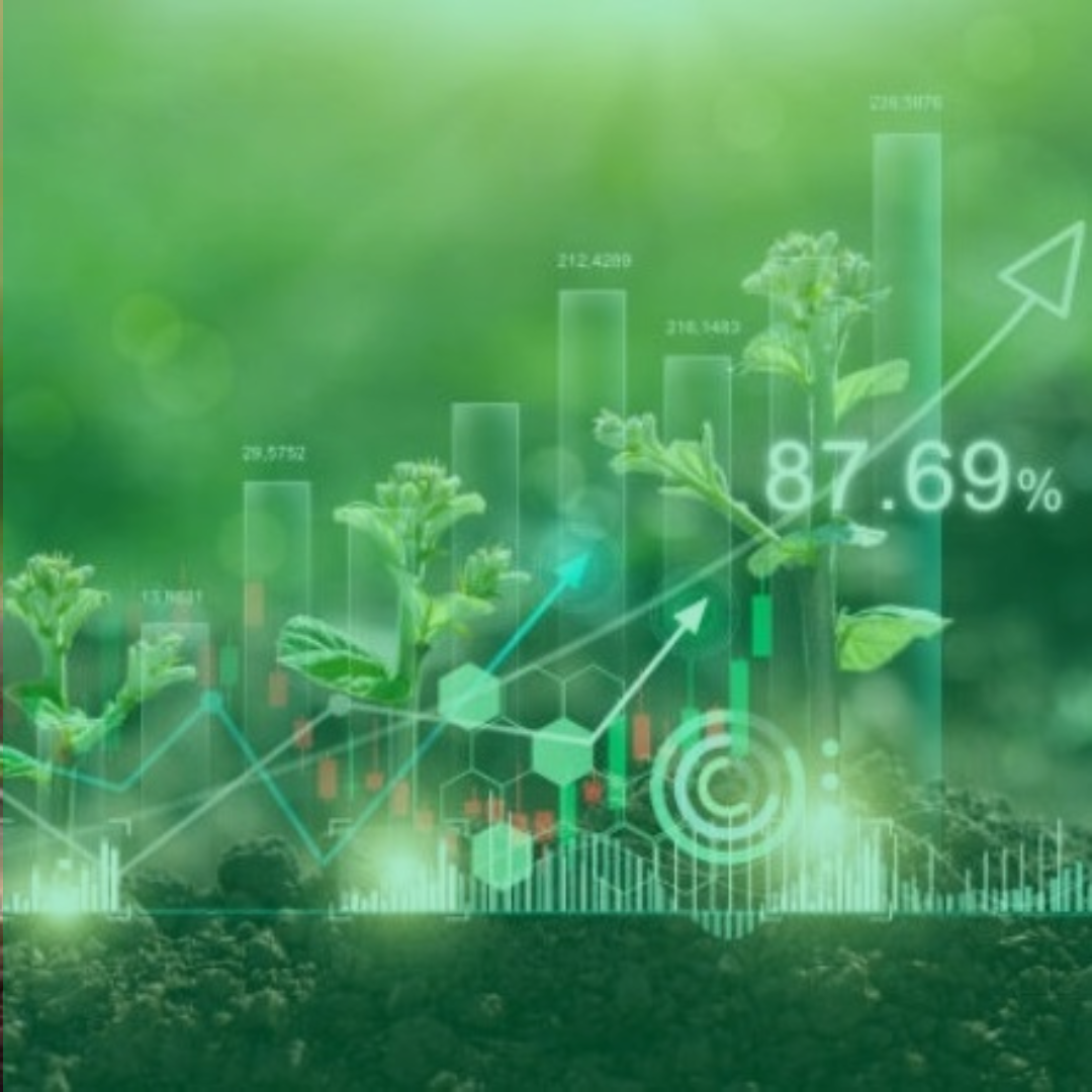 Campanhas Segmentadas para o Agronegócio crescimento sustentável